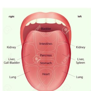 Ayurveda Tongue Chart